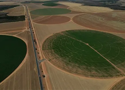 Fin a moratoria de soja pone en riesgo a selva