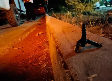 En dos a&ntilde;os, 200 detenidos con ponchallantas