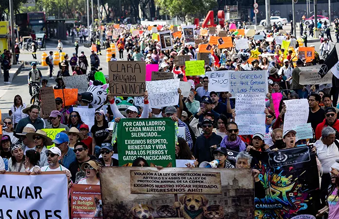 Marchan vs. el retiro de perros y gatos de refugio