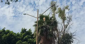 Vecinos del Saucito exigen reparaci&oacute;n de alumbrado