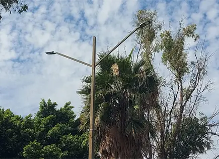 Vecinos del Saucito exigen reparaci&oacute;n de alumbrado