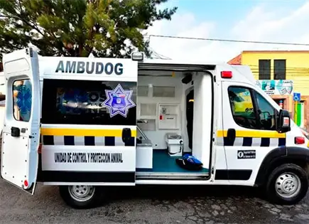 Ambudog ofrecer&aacute; consultas gratuitas