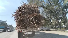 Camiones ca&ntilde;eros, sin l&iacute;mite de carga