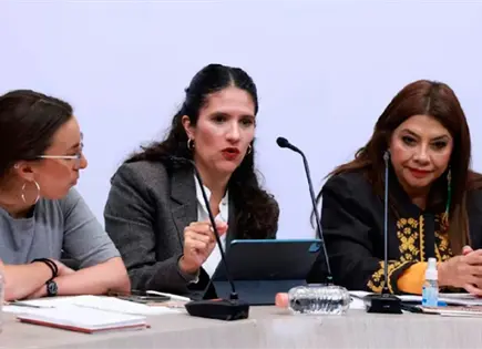 Fiscal&iacute;a niega desaparici&oacute;n de 300 animales en Refugio Franciscano