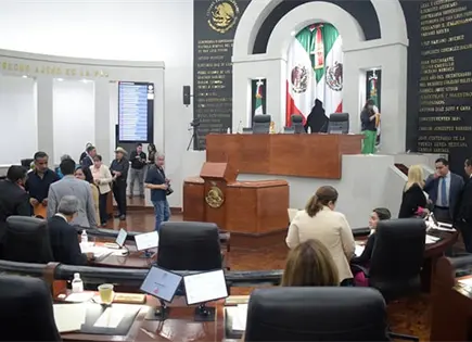 Congreso no tiene dinero para consultas