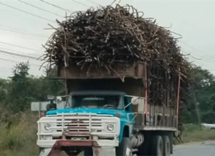 Reportan exceso de carga en los camiones ca&ntilde;eros