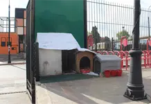 Retir&oacute; SCT casitas para perros por mal aspecto": AC