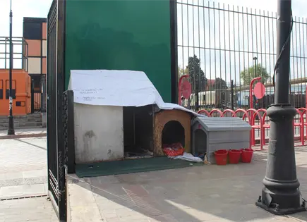 Retir&oacute; SCT casitas para perros por mal aspecto": AC