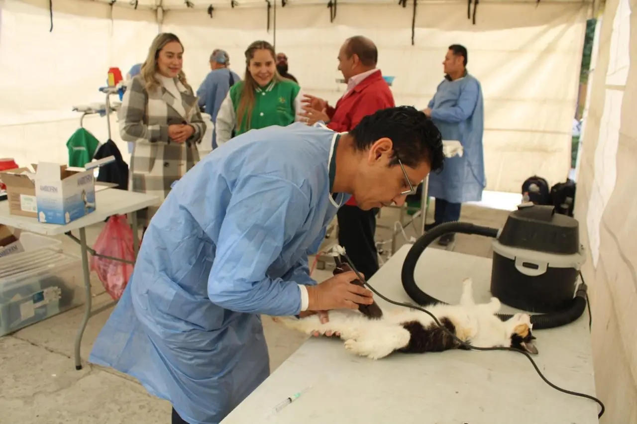 Visitando Corazones amplía atención a mascotas