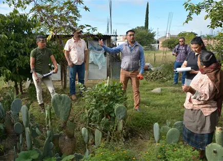 Cemex impulsa mejoramiento de viviendas en Oaxaca
