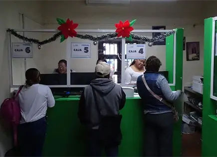 Recolectores de residuos deber&aacute;n refrendar permisos