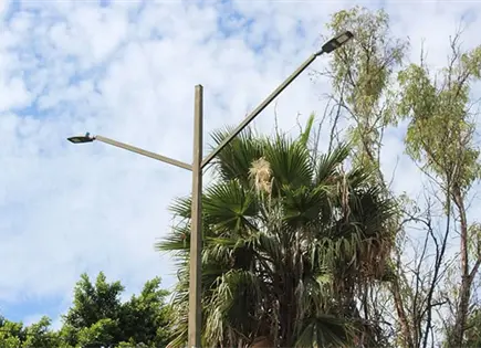 Repara municipio alumbrado p&uacute;blico en El Saucito