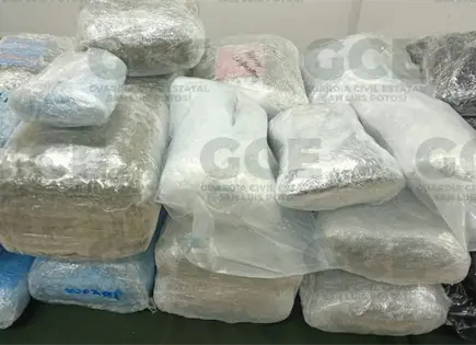 Aseguran 65 kilos de marihuana en El Charquillo