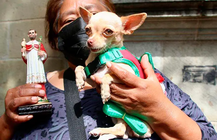 Este sábado, la bendición de animales