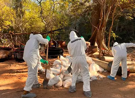 Localizan en Sinaloa laboratorios clandestinos