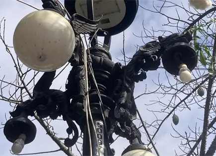 Persiste sabotaje al alumbrado p&uacute;blico de la Alameda: Azuara