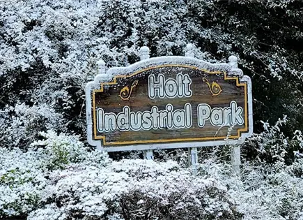 Clima invernal: nieve cubre Florida y otras ciudades de EE.UU.