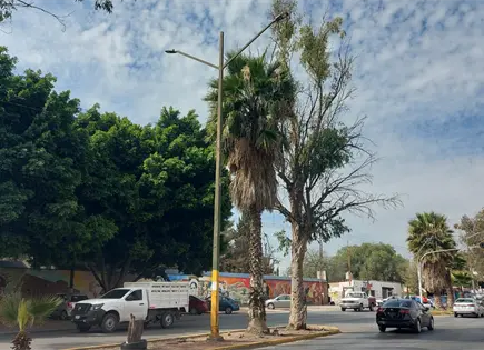 Seduvop mantiene avenidas sin entregar al ayuntamiento