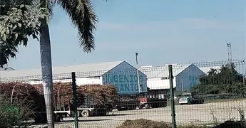 Avanza zafra en el IPA con buenas perspectivas