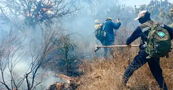 Realizan podas en zona serrana