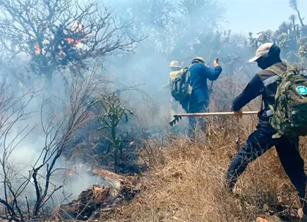 Realizan podas en zona serrana