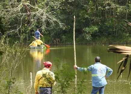 Por cocodrilos, proh&iacute;ben acceso a laguna de Ciudad Valles