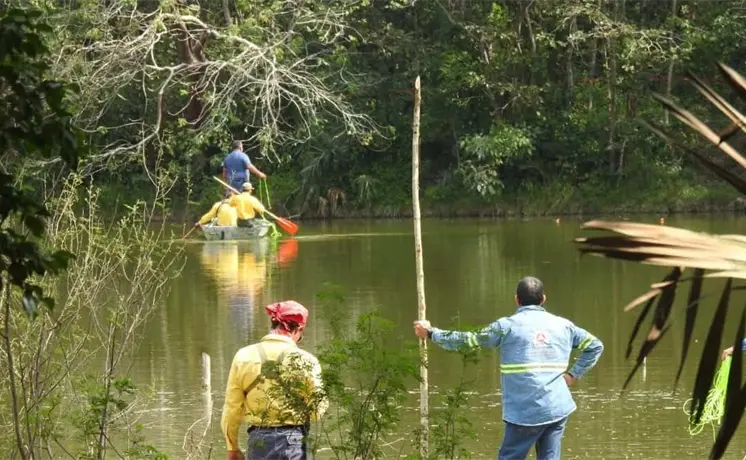 Por cocodrilos, proh&iacute;ben acceso a laguna de Ciudad Valles
