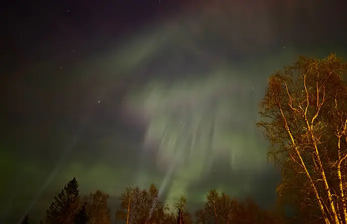 Ilumina aurora boreal cielos de Alaska