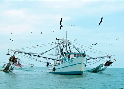 Por pesca ilegal, piden castigo a M&eacute;xico