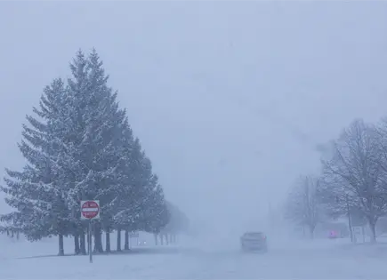 Tormenta de hielo en el sur: pron&oacute;stico meteorol&oacute;gico extremo preocupa a expertos