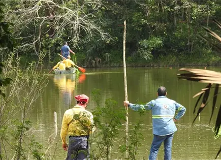 Un riesgo, dos cocodrilos en una laguna de La Pila Un riesgo, dos cocodrilos en una laguna de La Pila
