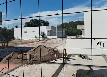 Escuela de Medicina avanza a paso de tortuga Escuela de Medicina avanza a paso de tortuga