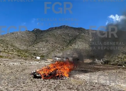 Incinera FGR drogas decomisadas en SLP
