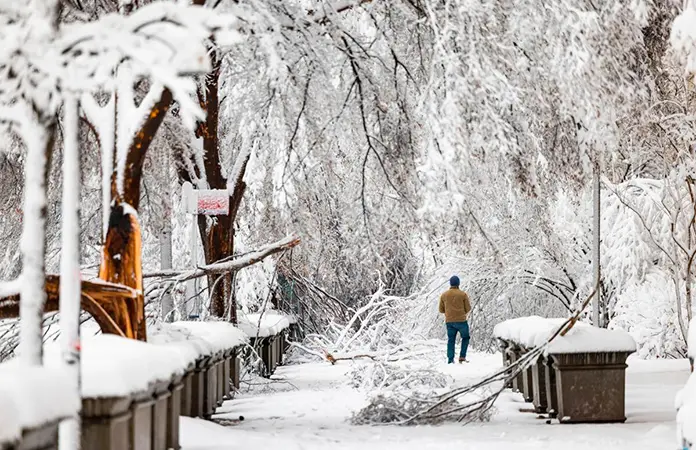 Ola invernal amenaza a EEUU