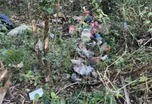 Confirma FGE hallazgo de restos humanos en Valles Confirma FGE hallazgo de restos humanos en Valles