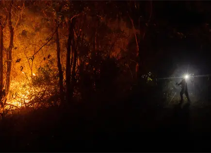 Chile enfrenta devastadores incendios forestales Chile enfrenta devastadores incendios forestales