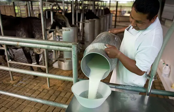 Fuerte impulso de productores al consumo de leche