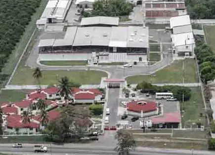 Planta de mosca vs. GBG est&aacute; al 50%