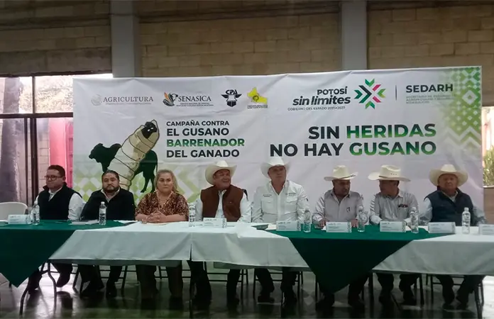 Fijan medidas para proteger ganado de gusano barrenador