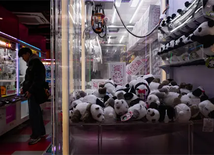 Despedida de pandas japoneses gemelos en el zool&oacute;gico de Ueno en Tokio