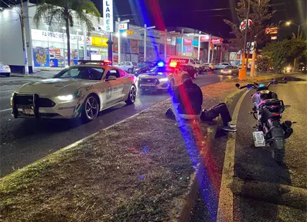 Operativos dejan 253 detenidos en una semana