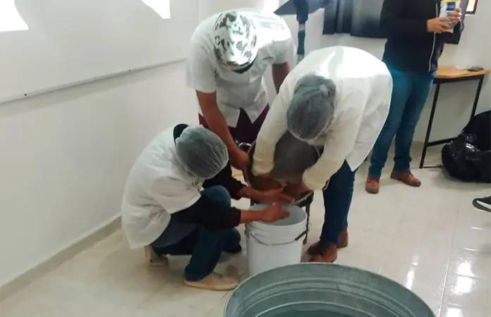 Alumnos realizan taller de elaboración de queso
