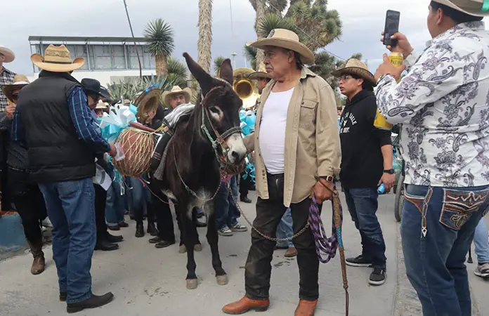 Callejoneada con el burro Rufino