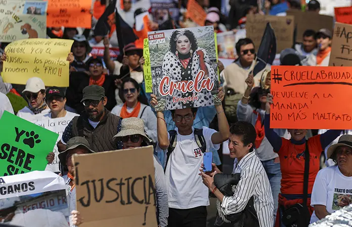 Denuncian "masacre canina" en CDMX