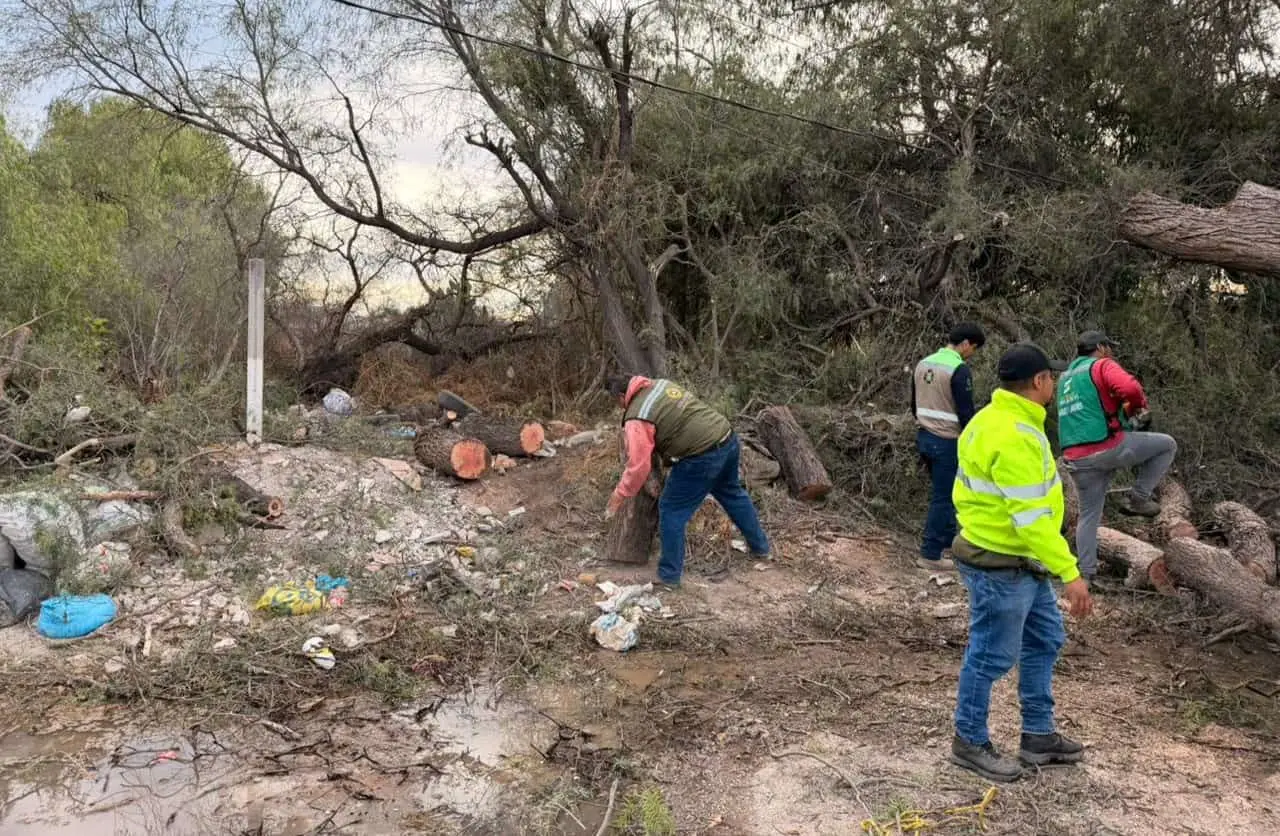 Foto: Omar Hernández/Pulso