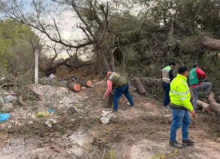 Árboles caídos e incendios dejan vientos en Soledad Árboles caídos e incendios dejan vientos en Soledad