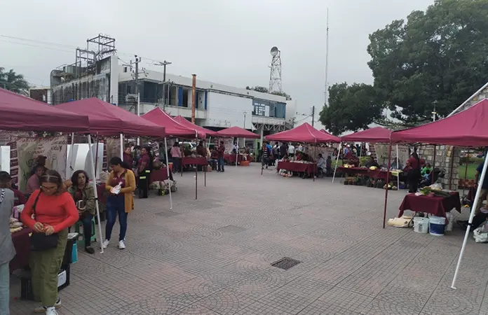 Instalan tianguis de Sembrando Vida