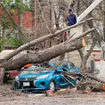 Por el viento, &aacute;rbol cae y aplasta un carro