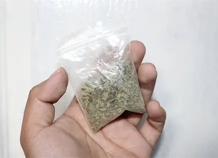Desmantelan narcopuntos a diario en SLP