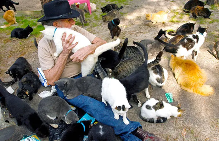 Advierten de síndrome del arca de Noé